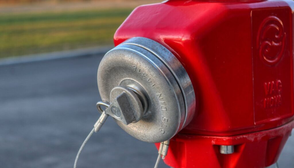 planet_fox-hydrant-4968695