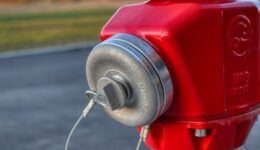 planet_fox-hydrant-4968695